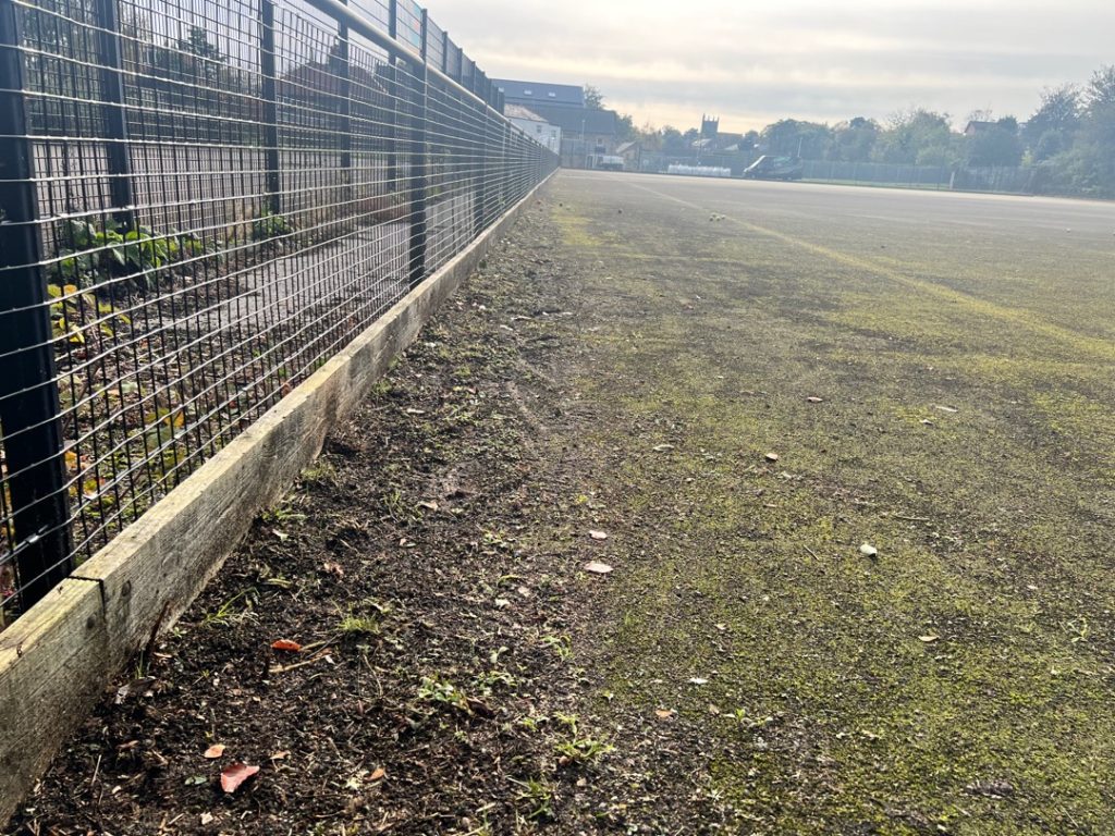 Sand filled pitch covered in moss, dirt and algae in need of a rejuvenation.
