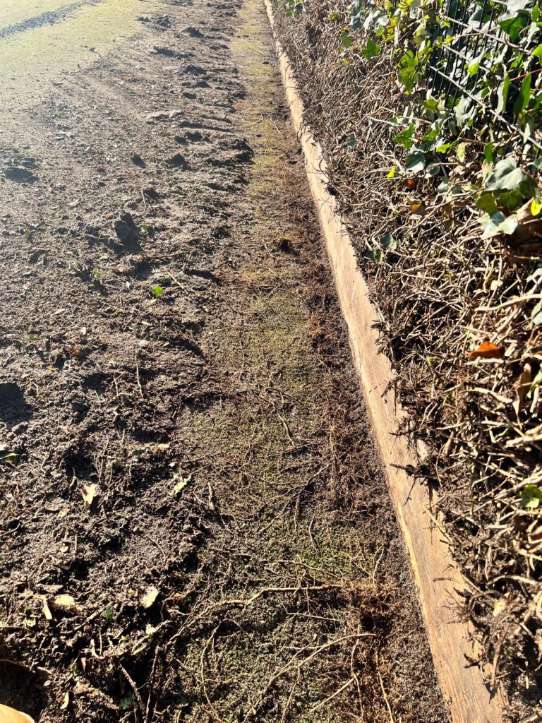 Thick moss and dirt build-up on perimeter of sand filled pitch 