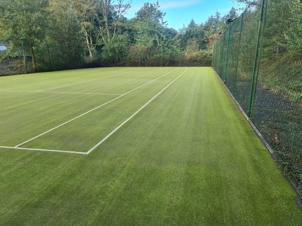 11-After-Extraction-1024x768