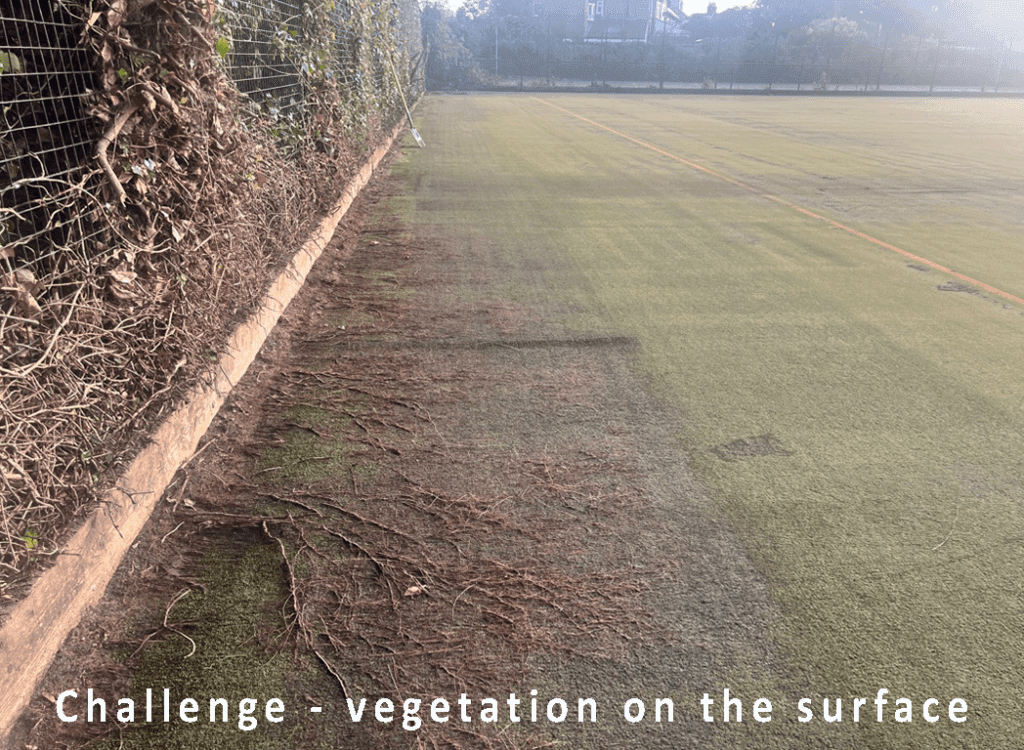 Roots-on-the-surface-1024x750