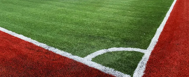Synthetic Turf