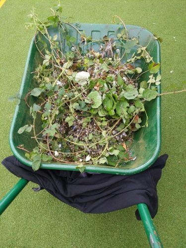 4a5d7486b4c4460e9b09f21dc46c21d0_Workforce_1694857247013-1-768x1024