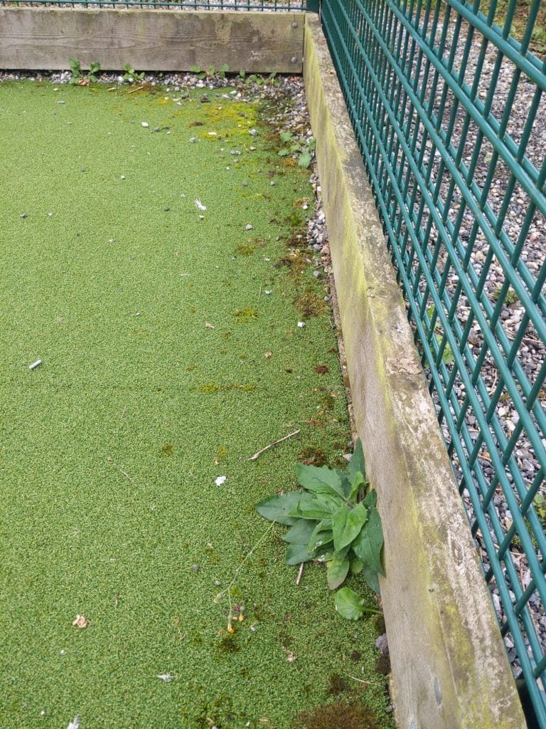 afc018345b544975bac5d20b753f5be8_Workforce_1694853045419-768x1024