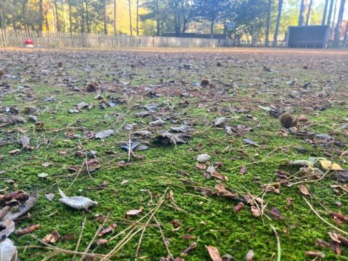 c487ce6a9f4943e4919138976cc551a9_image_REP95090_202311061155304744-1024x768